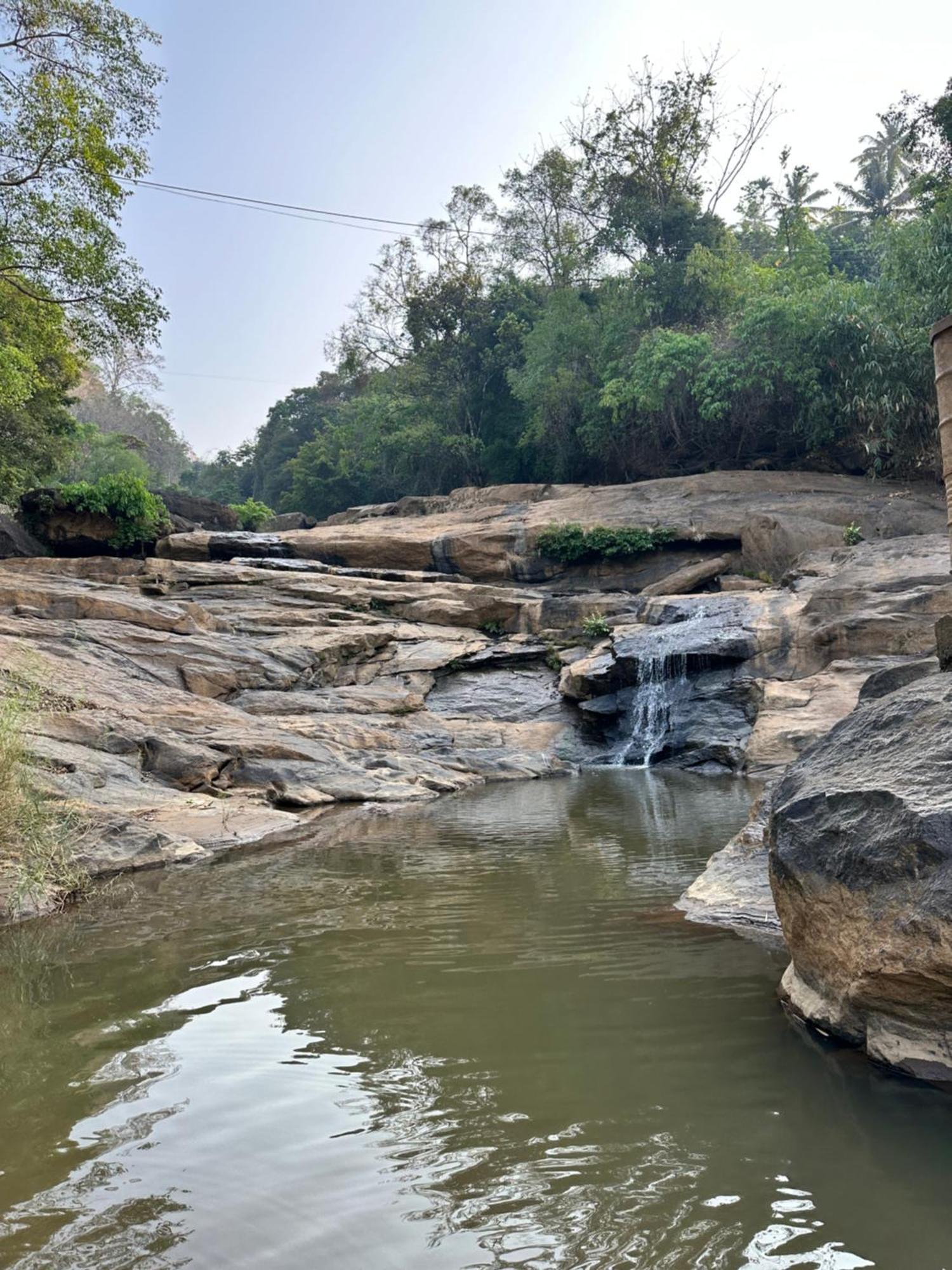 Thoppil Homestay Munnar Eksteriør billede
