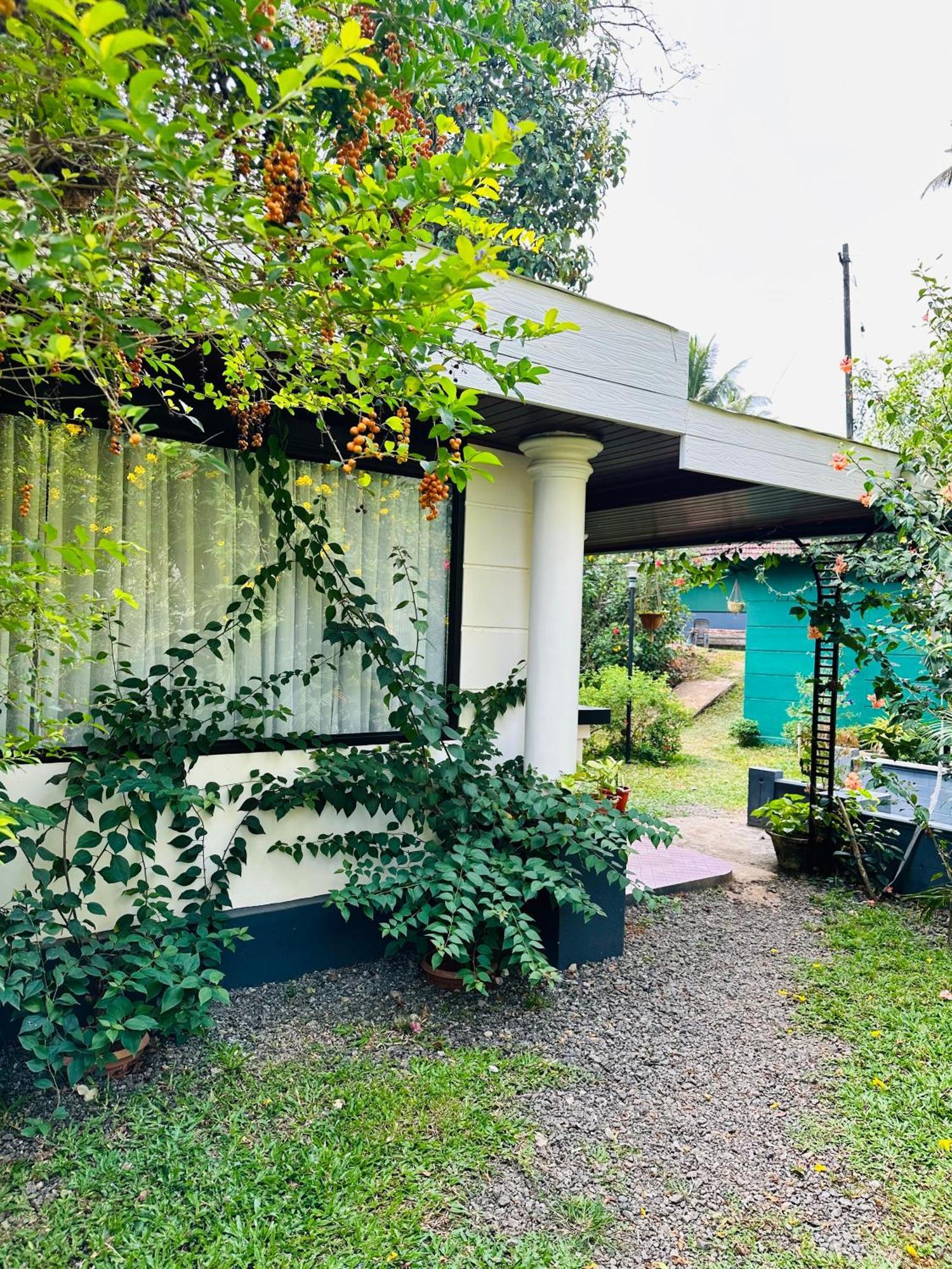 Thoppil Homestay Munnar Eksteriør billede