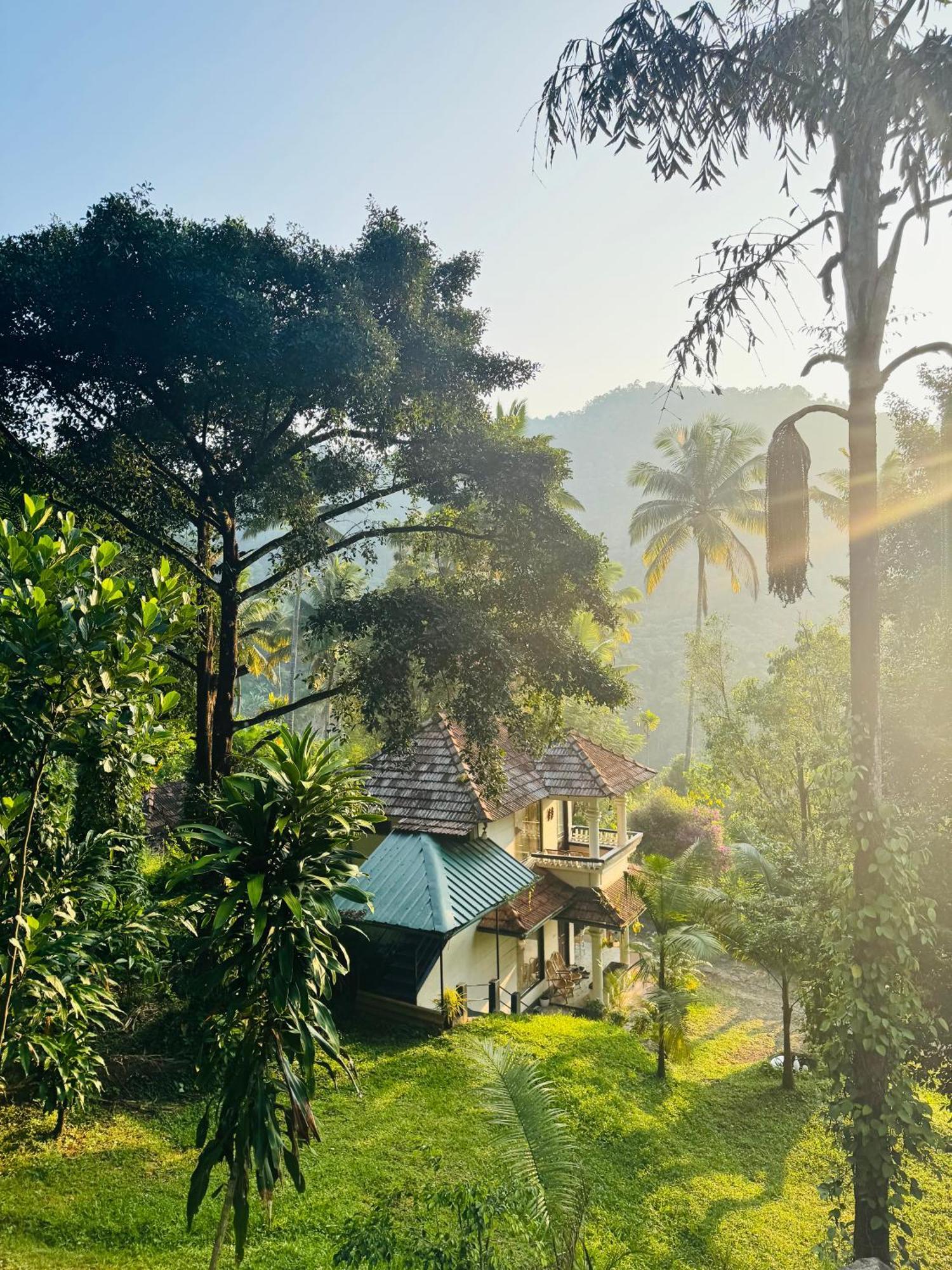 Thoppil Homestay Munnar Eksteriør billede