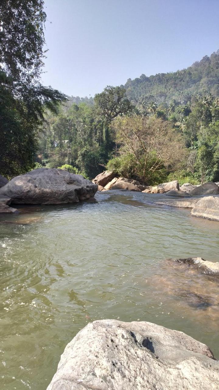 Thoppil Homestay Munnar Eksteriør billede